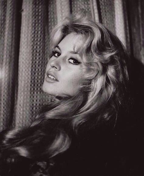 xxxkitten|Brigitte Bardot: Classic Photos of the Original ‘Sex Kitten’ .